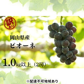 【ふるさと納税】訳あり ニューピオーネ 2房 合計1.0kg以上 産地直送 朝採れ ぶどう 葡萄 岡山 Kawahara Green Farm 岡山県産 2026年 先行予約　お届け：2026年8月25日～2026年9月30日