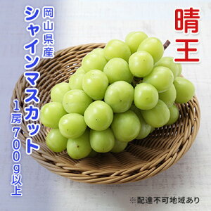 yӂ邳Ɣ[ŁzԂǂ s\ VC}XJbg  1[ 700gȏ uhE  RY Y t[c ʕ Mtg@͂F2025N9{`2025N12{
