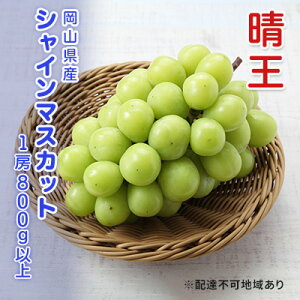 yӂ邳Ɣ[ŁzԂǂ s\ VC}XJbg  1[ 800gȏ uhE  RY Y t[c ʕ Mtg@͂F2025N9{`2025N12{