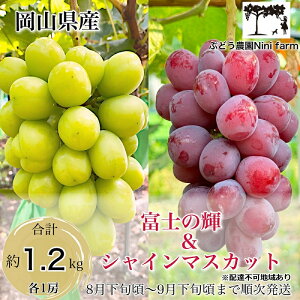 �y�ӂ邳�Ɣ[�Łz�Ԃǂ� 2026�N ��s�\�� �b��̕i�� �x�m�̋P���������̃V���C���}�X�J�b�g ���������N ���v��1.2kg �u�h�E ���� ���R���Y ���Y �t���[�c �ʕ� �M�t�g �y Nini farm �_�� ���� 