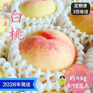 yӂ邳Ɣ[Łzy2025Nstz  3  G C  RY    䒆 Mtg  v[g  j 䋟 ʕ  t[c@͂F2026N7