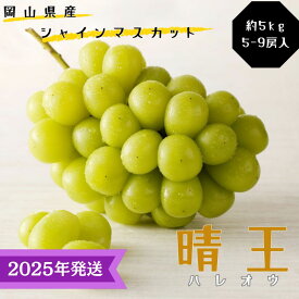 【ふるさと納税】【2025年先行受付】 シャインマスカット 晴王 秀品 大房 約5kg(5～9房) 岡山県産 岡山県産 ぶどう 葡萄 ブドウ ギフト 御礼 プレゼント 御礼 御祝 御供 果物 くだもの フルーツ　お届け：2025年8月中旬～2025年11月下旬