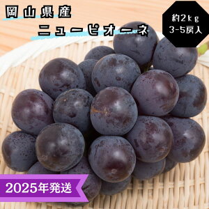 yӂ邳Ɣ[Łzy2025Nstz Ԃǂ j[sI[l Gi 2kg(3`5[) RY Ԃǂ  uhE Mtg  v[g  j 䋟 ʕ  t[c@͂F2025N8