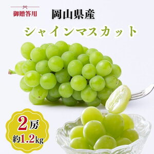 yӂ邳Ɣ[Łz䑡p RY VC}XJbg 2[(1.2kgȏ) Ԃǂ uhE  t[c ʕ R ˓s@͂F2025N9{`2025N10{