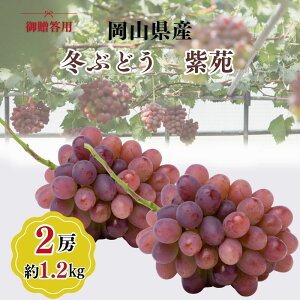 yӂ邳Ɣ[Łz󏭕i 䑡p RY ~Ԃǂ  2[(1.2kgȏ) Ԃǂ uhE  t[c ʕ R ˓s@͂F2025N10{`2025N11{