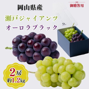 yӂ邳Ɣ[Łz䑡p RY ˃WCAc I[ubN 2[(1.2kgȏ) Ԃǂ uhE  t[c ʕ R ˓s@͂F2025N9{`2025N10{