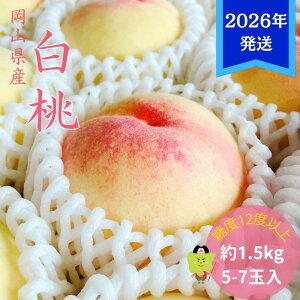 yӂ邳Ɣ[Łzy2026Nstz  G C  1.5kg(5`7)RY    䒆 Mtg  v[g  j 䋟 ʕ  t[c@͂F2026N7