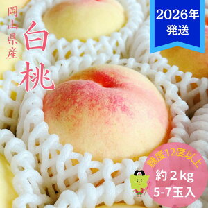 yӂ邳Ɣ[Łzy2026Nstz  G C  2kg(5`7) RY    䒆 Mtg  v[g  j 䋟 ʕ  t[c@͂F2026N7