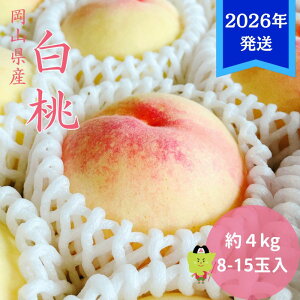 yӂ邳Ɣ[Łzy2026Nstz  R Gi  4kg(8`15) RY    䒆 Mtg  v[g  j 䋟 ʕ  t[c@͂F2026N7{