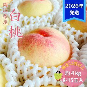 yӂ邳Ɣ[Łzy2026Nstz  G C  4kg(8`15) RY    䒆 Mtg  v[g  j 䋟 ʕ  t[c@͂F2026N7