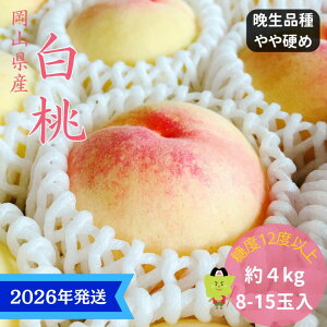 yӂ邳Ɣ[Łzy2026Nstz  G C  Ӑi 4kg(8`15) RY    䒆 Mtg  v[g  j 䋟 ʕ  t[c@͂