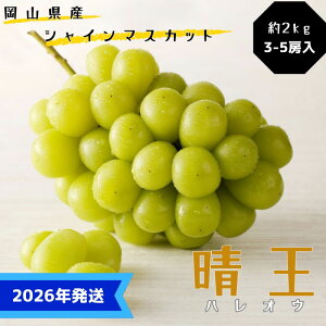 yӂ邳Ɣ[Łzy2026Nstz VC}XJbg  nEX͔| 2kg(3`5[ڈ) RY Ԃǂ  uhE 䒆 Mtg  v[g  j 䋟 ʕ  t