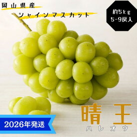 【ふるさと納税】【2026年先行受付】 シャインマスカット 晴王 秀品 大房 約5kg(5～9房) 岡山県産 岡山県産 ぶどう 葡萄 ブドウ ギフト 御礼 プレゼント 御礼 御祝 御供 果物 くだもの フルーツ　お届け：2026年8月中旬～2026年11月下旬