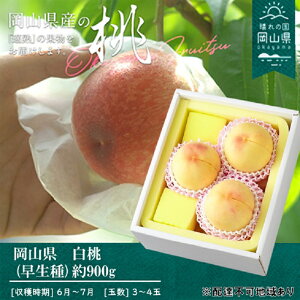 �y�ӂ邳�Ɣ[�Łz�� 2026�N ��s�\�� �� ������ ��900g 3�`4�� ���� ���� ���R���Y ���Y �t���[�c �ʕ� �M�t�g�@���͂��F2026�N7����{�`2026�N7�����{