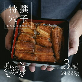 【ふるさと納税】穴子 焼き穴子 3尾入 225g 蒲焼き 小分け 真空パック 厳選 特選 不揃い 小ぶり 魚貝類 魚介類 おかず 和食 魚料理 青島 冷蔵 冷蔵配送 岡山 岡山県 瀬戸内市