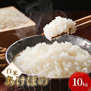 【ふるさと納税】令和7年度産 新米 白米 あけぼの 10kg 米 お米 コメ おこめ 精米 岡山 瀬戸内市 お届け:2025年11月1日〜2026年1月31日