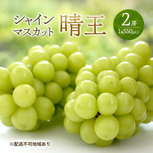 �y�ӂ邳�Ɣ[�Łz�Ԃǂ� 2026�N ��s�\�� �V���C�� �}�X�J�b�g ���� 2�[ �i1�[550g�ȏ�j �}�X�J�b�g �u�h�E ���� ���R���Y ���Y �t���[�c �ʕ� �M�t�g ���Ύ����@���͂��F2026�N6�����{�`2026�N8