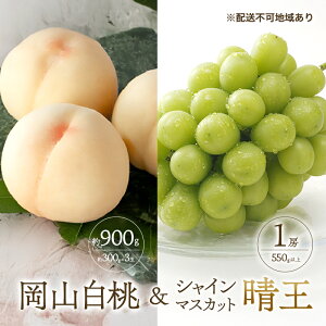 yӂ邳Ɣ[Łz Ԃǂ 2026N s\  3 v900g i1ʖ300gj VC}XJbg  1[ 550gȏ   l R Y t[c ʕ Mtg Ύ@͂F2026N