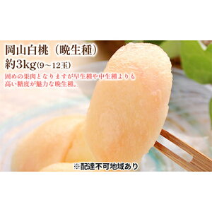 �y�ӂ邳�Ɣ[�Łz�ł߂� �� 2026�N ��s�\�� ���� �Ӑ��� 3kg 9�`12�� ���� ���� ���R ���Y �t���[�c �ʕ� �M�t�g ���Ύ����@���͂��F2026�N8�����{�`2026�N9�����{