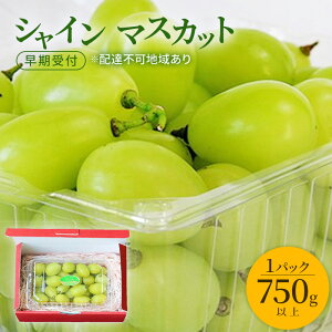 �y�ӂ邳�Ɣ[�Łz�Ԃǂ� ������t �V���C�� �}�X�J�b�g 1�p�b�N�i750g�ȏ�j �u�h�E ���� ���R���Y ���Y �t���[�c �ʕ� �M�t�g ���Ύ����@���͂��F2026�N10����{�`2027�N1�����{