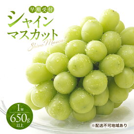 【ふるさと納税】ぶどう 早期受付 シャイン マスカット 1房（650g以上） ブドウ 葡萄 岡山県産 国産 フルーツ 果物 ギフト 桃茂実苑　お届け：2026年10月下旬～2027年1月下旬