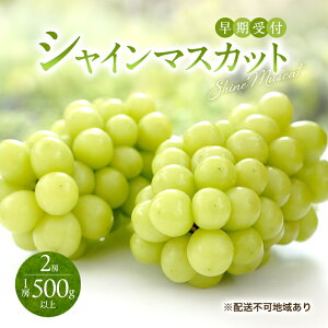 yӂ邳Ɣ[ŁzԂǂ t VC }XJbg 2[i1[500gȏj uhE  RY Y t[c ʕ Mtg Ύ@͂F2026N10{`2027N1{