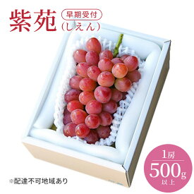 【ふるさと納税】ぶどう 早期受付 紫苑 （しえん）1房（500g以上） ブドウ 葡萄 岡山県産 国産 フルーツ 果物 ギフト 桃茂実苑　お届け：2026年11月上旬～2026年12月下旬