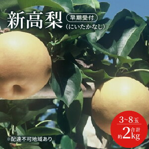 �y�ӂ邳�Ɣ[�Łz�� ������t �V�� �� �i�ɂ������Ȃ��j3�`8�� ���v��2kg�Ȃ� �i�V ���R���Y ���Y �t���[�c �ʕ� �M�t�g���Ύ��� �ʕ��� ��s�\��@���͂��F2026�N10�����{�`2026�N11�����{