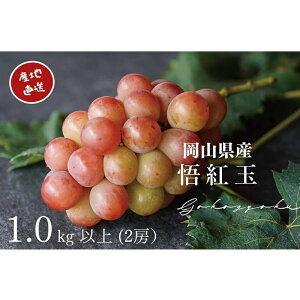 �y�ӂ邳�Ɣ[�Łz�Ԃǂ� ��g�� ���S���r�[ 2�[ ���v1.0kg�ȏ� �Y�n���� ���̂� �Ԃǂ� ���� �V���C�� �}�X�J�b�g ���R Kawahara Green Farm 2026�N ��s�\��@���͂��F2026�N8��25���`2026�N9��25��