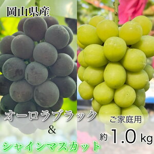 �y�ӂ邳�Ɣ[�Łz�Ԃǂ� 2026�N ��s�\�� �_�Ƃ������� �V���C�� �}�X�J�b�g �� �I�[�����u���b�N 2�[ ���v��1.0kg ���ƒ�p�N���X ���� ���R���Y ���Y �t���[�c �ʕ� �M�t�g �y Nini farm �_�� 