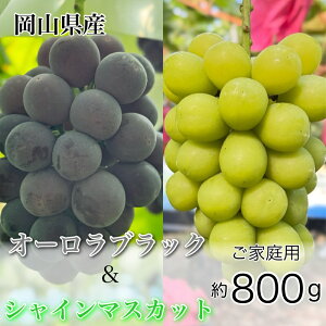 �y�ӂ邳�Ɣ[�Łz�Ԃǂ� 2026�N ��s�\�� �_�Ƃ������� �V���C�� �}�X�J�b�g �� �I�[�����u���b�N 2�[ ���v��800g ���ƒ�p�N���X ���� ���R���Y ���Y �t���[�c �ʕ� �M�t�g �y Nini farm �_�� 