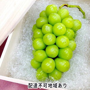 �y�ӂ邳�Ɣ[�Łz�Ԃǂ� 2026�N ��s�\�� �V���C�� �}�X�J�b�g �˔� 1�[���� 800g�ȏ� �u�h�E ���� ���R���Y ���Y �t���[�c �ʕ� �M�t�g �����Ԃǂ��� �ʕ��� �V���C���}�X�J�b�g�@���͂��F2026