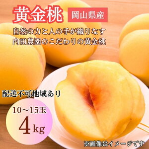 �y�ӂ邳�Ɣ[�Łz2026�N ��s�\�� ���R���Y ���F���� ���̉����� 4kg�� 10�`15�� ���c�_�� �� �ʕ� �����@���͂��F2026�N8��25���`2026�N9��30��