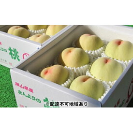 楽天市場 岡山 桃 家庭用の通販