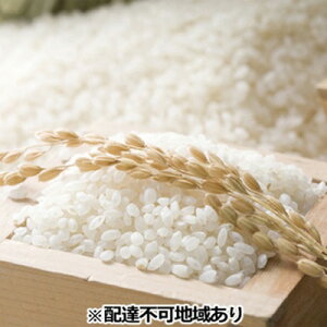yӂ邳Ɣ[Łzߘa7NxY ʂނ  5kg R Ԕ֎sY  @͂F2025N10{`2026N7{