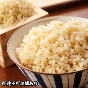 yӂ邳Ɣ[Łzߘa7NxY ʂނ  10kg R Ԕ֎sY  @͂F2025N10{`2026N7{