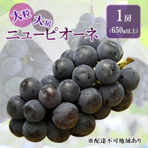 �y�ӂ邳�Ɣ[�Łz�Ԃǂ� 2026�N ��s�\�� �j���[ �s�I�[�l �嗱 ��[ 1�[ 650g�ȏ� �u�h�E ���� ���R�� �Ԕ֎s�Y ���Y �t���[�c �ʕ� �M�t�g �ԍ��s ���u�h�E �ʕ��� �@���͂��F2026�N6�����{