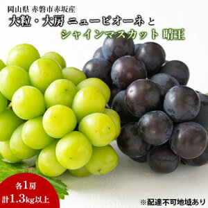 �y�ӂ邳�Ɣ[�Łz�Ԃǂ� 2026�N ��s�\�� �V���C�� �}�X�J�b�g ���� 1�[ �j���[�s�I�[�l �嗱 ��[ 1�[ ���v1.3kg�ȏ� �u�h�E ���� ���R�� �Ԕ֎s�Y ���Y �t���[�c �ʕ� �M�t�g �ԍ��s �ʕ�