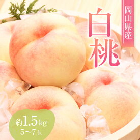 【ふるさと納税】桃 2026年 先行予約 赤磐の 白桃 約1.5kg 5～7玉 JA晴れの国 糖度センサー選果 もも モモ 岡山県 赤磐市産 国産 フルーツ 果物 ギフト デザート 果肉 　お届け：2026年7月上旬～2026年8月上旬