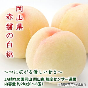 yӂ邳Ɣ[Łz 2026N s\ Ԕւ  2.0kg 6`8 JA̍ xZT[I   R Ԕ֎sY Y t[c ʕ Mtg fU[g ʓ @͂F2026N7{`202