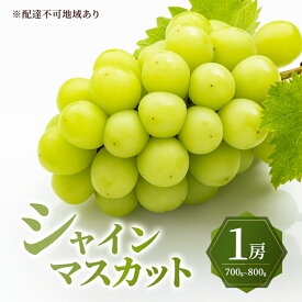【ふるさと納税】ぶどう 2026年 先行予約 シャイン マスカット 1房 700g～800g 大粒 種無し ブドウ 葡萄 岡山県 赤磐市産 国産 フルーツ 果物 ギフト MAKANAファーマーズ 果物類 シャインマスカット 　お届け：2026年9月下旬～2026年10月下旬