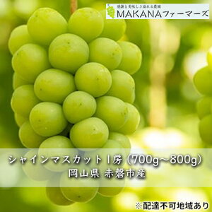 yӂ邳Ɣ[ŁzԂǂ 2025N s\ VC }XJbg 1[ 700g`800g 嗱 햳 uhE  R Ԕ֎sY Y t[c ʕ Mtg MAKANAt@[}[Y ʕ VC}XJb