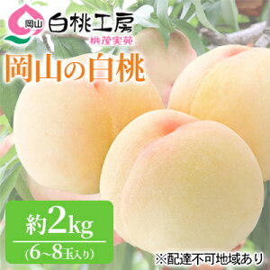 yӂ邳Ɣ[Łz 2026N s\  2kg 6`8   R Y t[c ʕ Mtg Ύ ʓ @͂F2026N6{`2026N8{