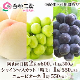【ふるさと納税】桃 ぶどう 2026年 先行予約 白桃 2玉 合計約600g（1玉約300g） シャインマスカット 晴王 ・ ニューピオーネ 各1房 550g以上 もも モモ 葡萄 ブドウ 岡山県産 国産 フルーツ 果物 ギフト 桃茂実苑 　お届け：2026年6月中旬～2026年8月中旬