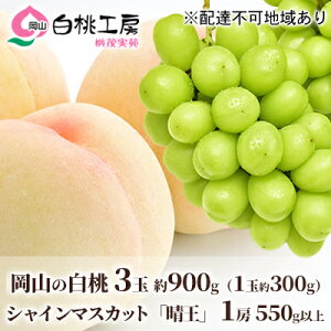 �y�ӂ邳�Ɣ[�Łz�� �Ԃǂ� 2026�N ��s�\�� ���� 3�� ���v��900g�i1�ʖ�300g�j �V���C���}�X�J�b�g ���� 1�[ 550g�ȏ� ���� ���� �l���� ���R���Y ���Y �t���[�c �ʕ� �M�t�g ���Ύ��� �@���͂��F2