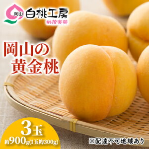 �y�ӂ邳�Ɣ[�Łz�� 2026�N ��s�\�� ������ 3�� ���v��900g�i1�ʖ�300g�j ���� ���� ���R���Y ���Y �t���[�c �ʕ� �M�t�g ���Ύ��� �ʓ� �@���͂��F2026�N8�����{�`2026�N9����{