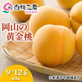 【ふるさと納税】桃 2026年 先行予約 黄金桃 3kg 9～12玉 もも モモ 岡山県産 国産 フルーツ 果物 ギフト 桃茂実苑 果肉 　お届け：2026年8月中旬～2026年9月上旬