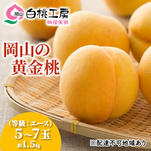 yӂ邳Ɣ[Łz 2026N s\   G[X 1.5kg 5`7ʓ   R Y t[c ʕ Ύ ʓ @͂F2026N8{`2026N9{