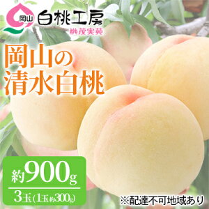 �y�ӂ邳�Ɣ[�Łz�� 2026�N ��s�\�� �������� 3�� ���v��900g�i1�ʖ�300g�j ���� ���� ���� ���R���Y ���Y �t���[�c �ʕ� �M�t�g ���Ύ��� �ʓ� �@���͂��F2026�N7�����{�`2026�N8����{