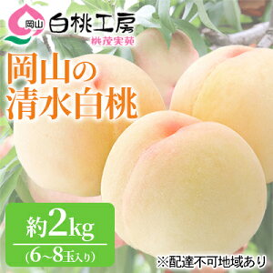 yӂ邳Ɣ[Łz 2026N s\   2kg 6`8   R Y t[c ʕ Mtg Ύ ʓ @͂F2026N7{`2026N8{
